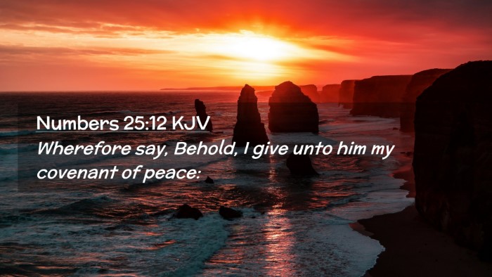 Picture 02 - Numbers 25:12 KJV Desktop Wallpaper - Wherefore say, Behold, I give unto him my - Desktop Bible Verse Wallpaper