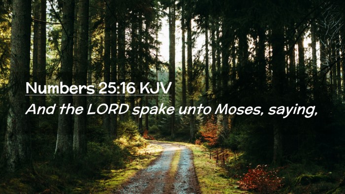 Picture 02 - Numbers 25:16 KJV Desktop Wallpaper - And the LORD spake unto Moses, - Desktop Bible Verse Wallpaper