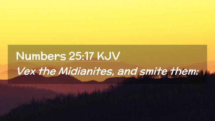 Picture 02 - Numbers 25:17 KJV Desktop Wallpaper - Vex the Midianites, and smite - Desktop Bible Verse Wallpaper