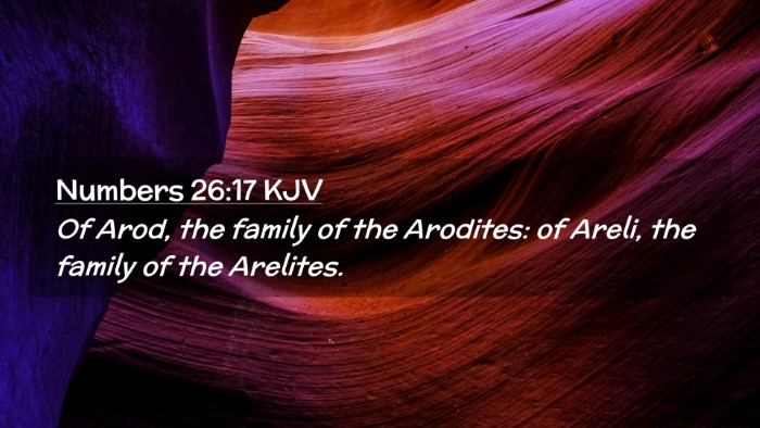 Picture 02 - Numbers 26:17 KJV Desktop Wallpaper - Of Arod, the family of the Arodites: of Areli, - Desktop Bible Verse Wallpaper