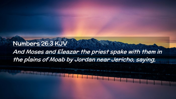 Picture 02 - Numbers 26:3 KJV Desktop Wallpaper - And Moses and Eleazar the priest spake with them - Desktop Bible Verse Wallpaper