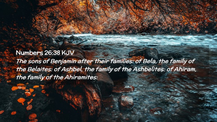 Picture 02 - Numbers 26:38 KJV Desktop Wallpaper - The sons of Benjamin after their families: of - Desktop Bible Verse Wallpaper