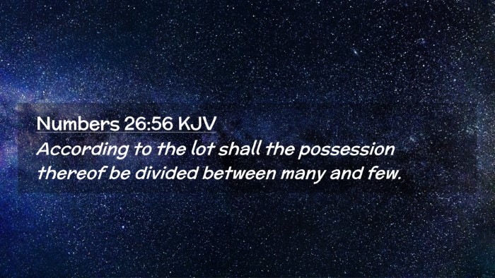 Picture 02 - Numbers 26:56 KJV Desktop Wallpaper - According to the lot shall the possession thereof - Desktop Bible Verse Wallpaper