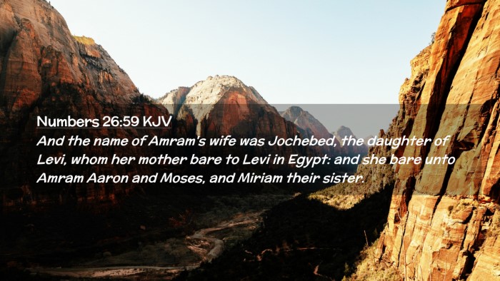 Picture 02 - Numbers 26:59 KJV Desktop Wallpaper - And the name of Amram's wife was Jochebed, the - Desktop Bible Verse Wallpaper