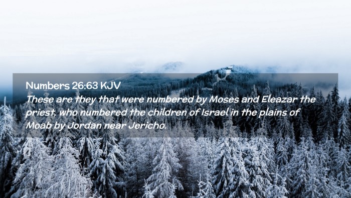 Picture 02 - Numbers 26:63 KJV Desktop Wallpaper - These are they that were numbered by Moses and - Desktop Bible Verse Wallpaper