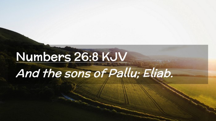 Picture 02 - Numbers 26:8 KJV Desktop Wallpaper - And the sons of Pallu; - Desktop Bible Verse Wallpaper