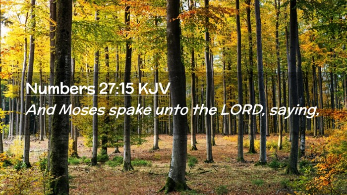 Picture 02 - Numbers 27:15 KJV Desktop Wallpaper - And Moses spake unto the LORD, - Desktop Bible Verse Wallpaper