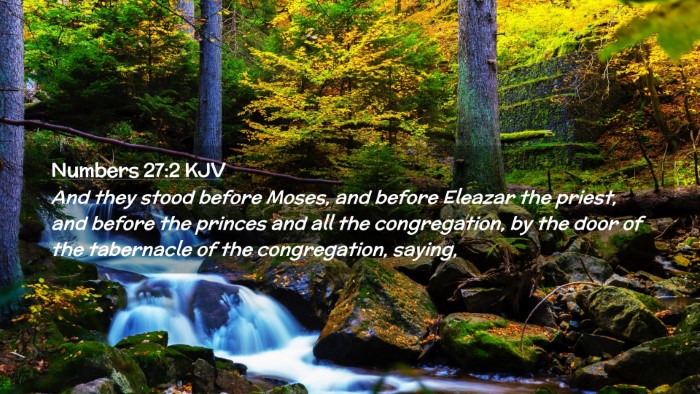 Picture 02 - Numbers 27:2 KJV Desktop Wallpaper - And they stood before Moses, and before Eleazar - Desktop Bible Verse Wallpaper