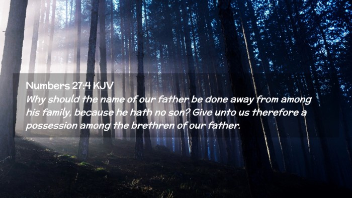 Picture 02 - Numbers 27:4 KJV Desktop Wallpaper - Why should the name of our father be done away - Desktop Bible Verse Wallpaper