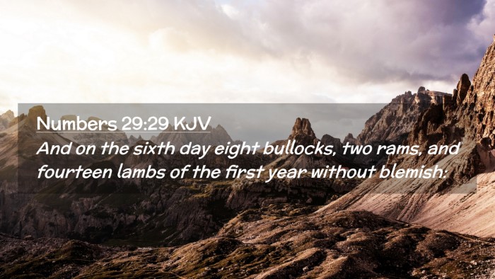 Picture 02 - Numbers 29:29 KJV Desktop Wallpaper - And on the sixth day eight bullocks, two rams, - Desktop Bible Verse Wallpaper