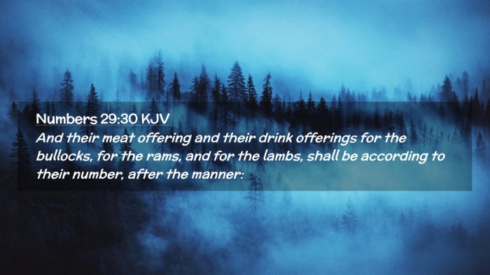 Picture 02 - Numbers 29:30 KJV Desktop Wallpaper - And their meat offering and their drink offerings - Desktop Bible Verse Wallpaper