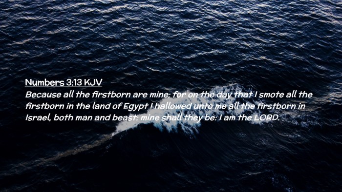Picture 02 - Numbers 3:13 KJV Desktop Wallpaper - Because all the firstborn are mine; for on the - Desktop Bible Verse Wallpaper
