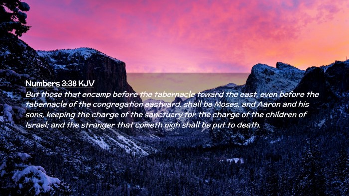 Picture 02 - Numbers 3:38 KJV Desktop Wallpaper - But those that encamp before the tabernacle - Desktop Bible Verse Wallpaper