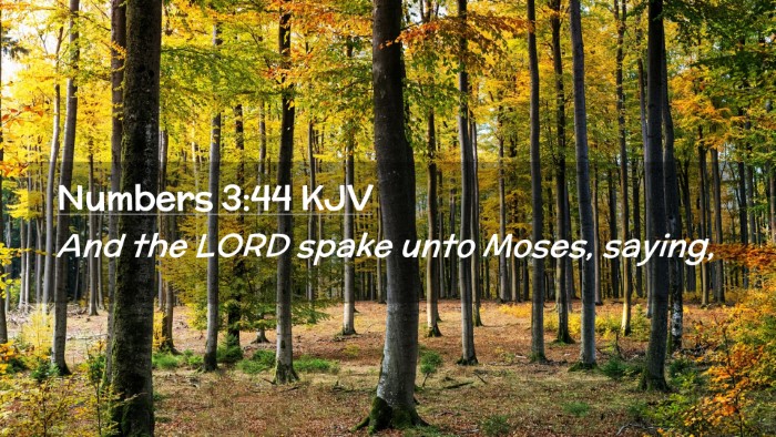 Picture 02 - Numbers 3:44 KJV Desktop Wallpaper - And the LORD spake unto Moses, - Desktop Bible Verse Wallpaper