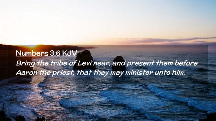 Picture 02 - Numbers 3:6 KJV Desktop Wallpaper - Bring the tribe of Levi near, and present them - Desktop Bible Verse Wallpaper