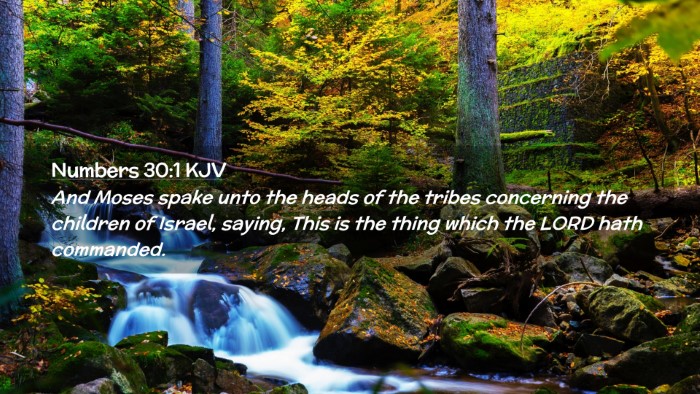 Picture 02 - Numbers 30:1 KJV Desktop Wallpaper - And Moses spake unto the heads of the tribes - Desktop Bible Verse Wallpaper