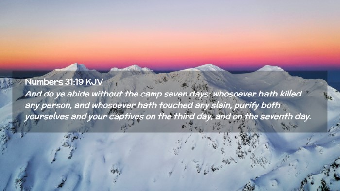 Picture 02 - Numbers 31:19 KJV Desktop Wallpaper - And do ye abide without the camp seven days: - Desktop Bible Verse Wallpaper