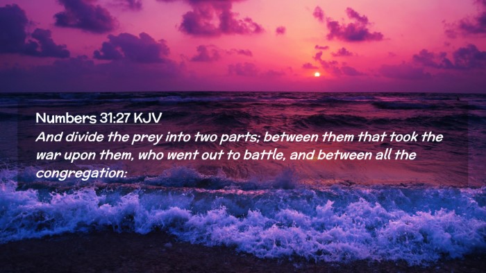 Picture 02 - Numbers 31:27 KJV Desktop Wallpaper - And divide the prey into two parts; between them - Desktop Bible Verse Wallpaper