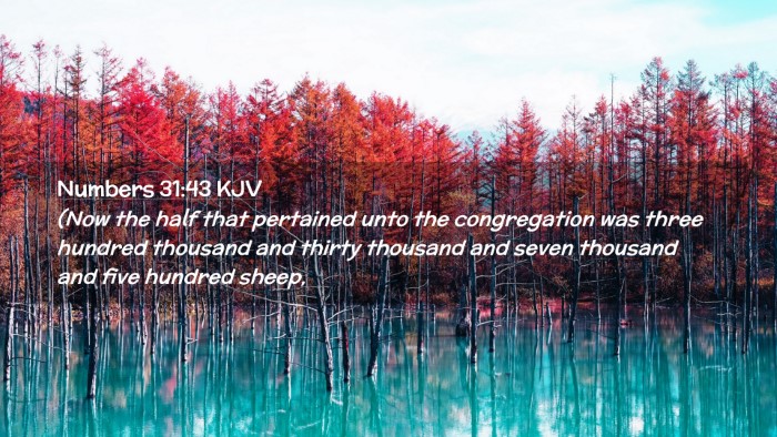 Picture 02 - Numbers 31:43 KJV Desktop Wallpaper - (Now the half that pertained unto the - Desktop Bible Verse Wallpaper