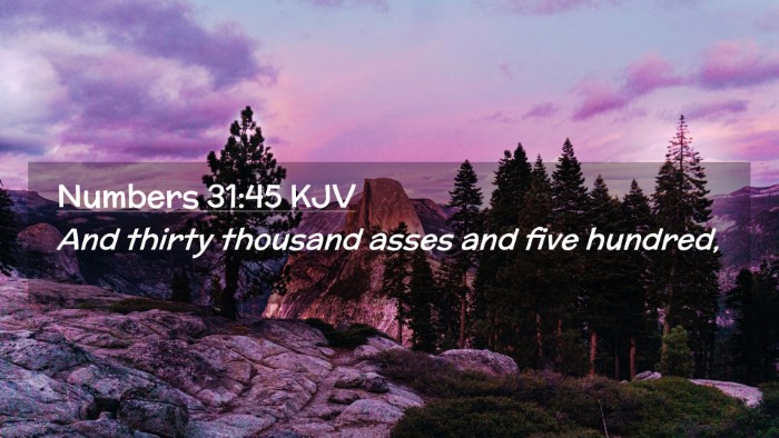 Picture 02 - Numbers 31:45 KJV Desktop Wallpaper - And thirty thousand asses and five - Desktop Bible Verse Wallpaper