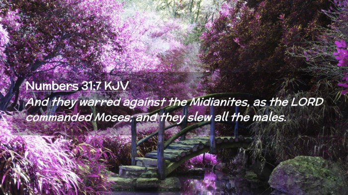 Picture 02 - Numbers 31:7 KJV Desktop Wallpaper - And they warred against the Midianites, as the - Desktop Bible Verse Wallpaper