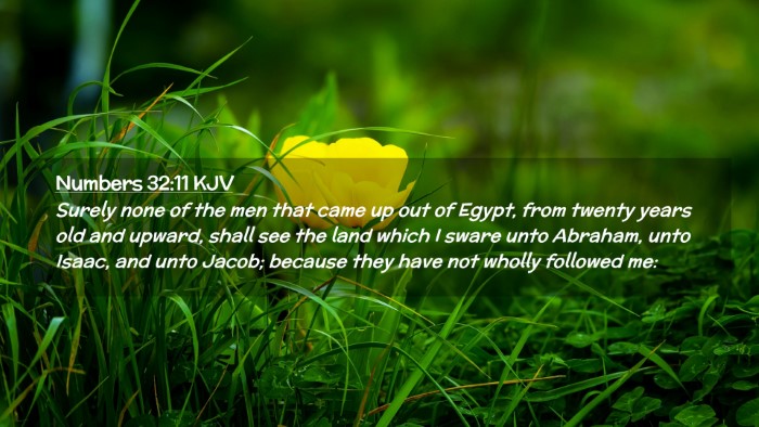 Picture 02 - Numbers 32:11 KJV Desktop Wallpaper - Surely none of the men that came up out of Egypt, - Desktop Bible Verse Wallpaper