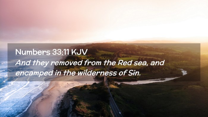 Picture 02 - Numbers 33:11 KJV Desktop Wallpaper - And they removed from the Red sea, and encamped - Desktop Bible Verse Wallpaper