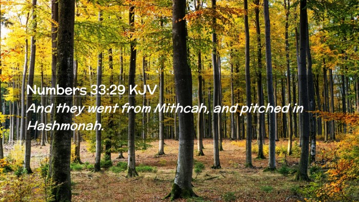 Picture 02 - Numbers 33:29 KJV Desktop Wallpaper - And they went from Mithcah, and pitched in - Desktop Bible Verse Wallpaper