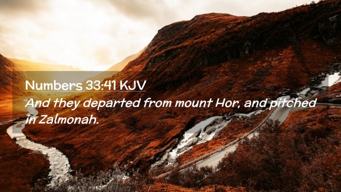 Picture 02 - Numbers 33:41 KJV Desktop Wallpaper - And they departed from mount Hor, and pitched in - Desktop Bible Verse Wallpaper