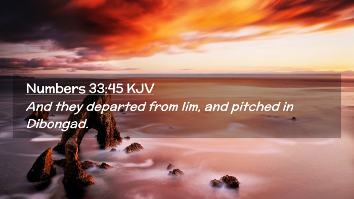 Picture 02 - Numbers 33:45 KJV Desktop Wallpaper - And they departed from Iim, and pitched in - Desktop Bible Verse Wallpaper
