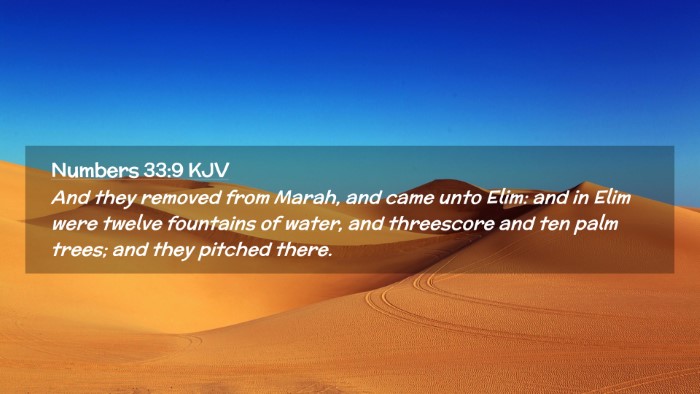 Picture 02 - Numbers 33:9 KJV Desktop Wallpaper - And they removed from Marah, and came unto Elim: - Desktop Bible Verse Wallpaper