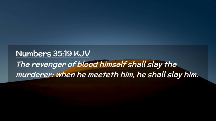 Picture 02 - Numbers 35:19 KJV Desktop Wallpaper - The revenger of blood himself shall slay the - Desktop Bible Verse Wallpaper
