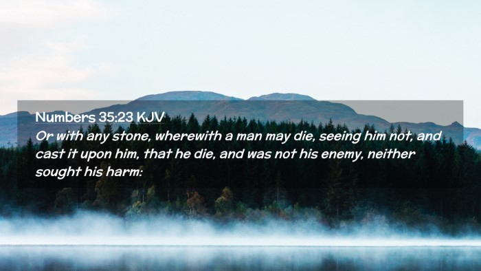 Picture 02 - Numbers 35:23 KJV Desktop Wallpaper - Or with any stone, wherewith a man may die, - Desktop Bible Verse Wallpaper