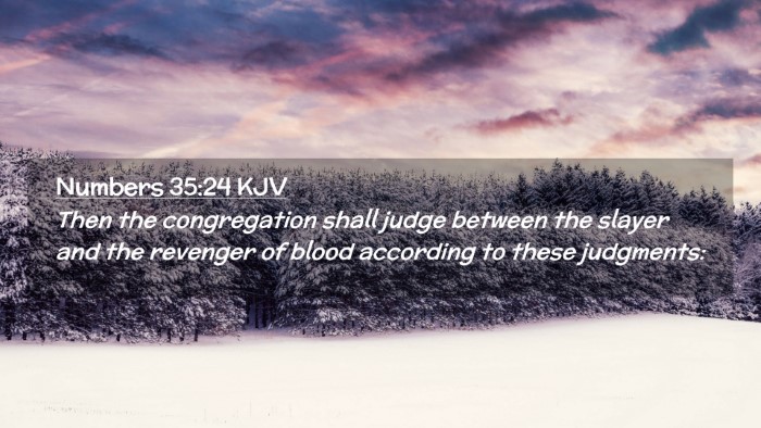 Picture 02 - Numbers 35:24 KJV Desktop Wallpaper - Then the congregation shall judge between the - Desktop Bible Verse Wallpaper