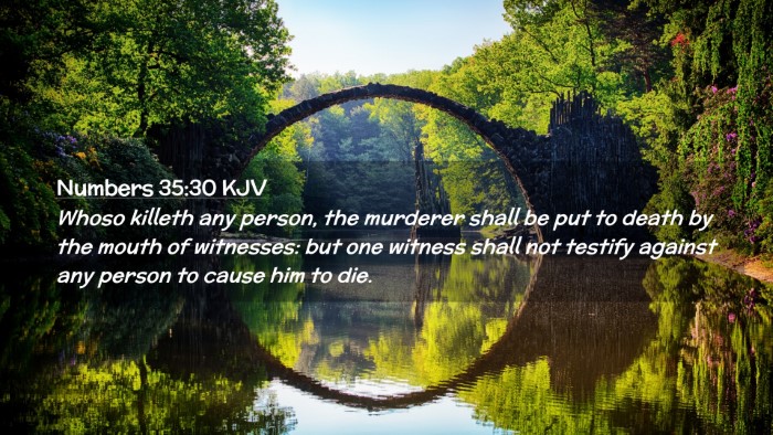 Picture 02 - Numbers 35:30 KJV Desktop Wallpaper - Whoso killeth any person, the murderer shall be - Desktop Bible Verse Wallpaper