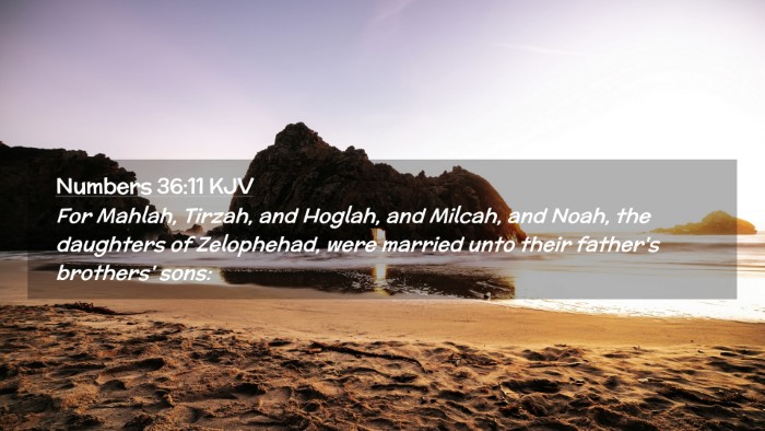 Picture 02 - Numbers 36:11 KJV Desktop Wallpaper - For Mahlah, Tirzah, and Hoglah, and Milcah, and - Desktop Bible Verse Wallpaper