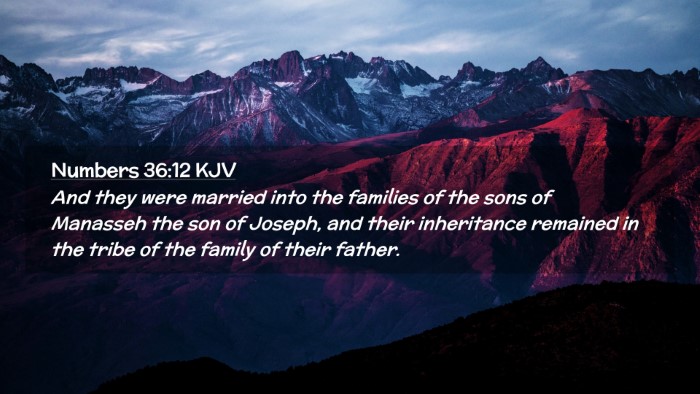 Picture 02 - Numbers 36:12 KJV Desktop Wallpaper - And they were married into the families of the - Desktop Bible Verse Wallpaper