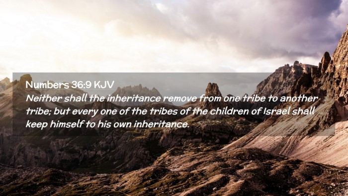 Picture 02 - Numbers 36:9 KJV Desktop Wallpaper - Neither shall the inheritance remove from one - Desktop Bible Verse Wallpaper