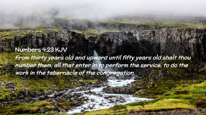 Picture 02 - Numbers 4:23 KJV Desktop Wallpaper - From thirty years old and upward until fifty - Desktop Bible Verse Wallpaper