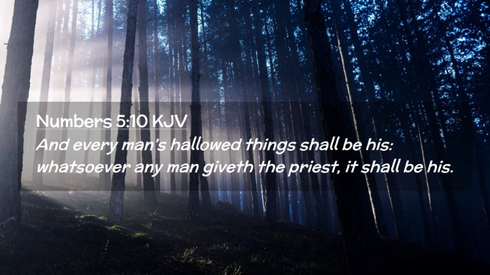 Picture 02 - Numbers 5:10 KJV Desktop Wallpaper - And every man's hallowed things shall be his: - Desktop Bible Verse Wallpaper