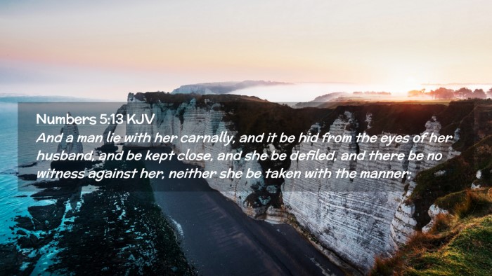 Picture 02 - Numbers 5:13 KJV Desktop Wallpaper - And a man lie with her carnally, and it be hid - Desktop Bible Verse Wallpaper