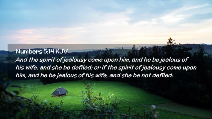 Picture 02 - Numbers 5:14 KJV Desktop Wallpaper - And the spirit of jealousy come upon him, and he - Desktop Bible Verse Wallpaper