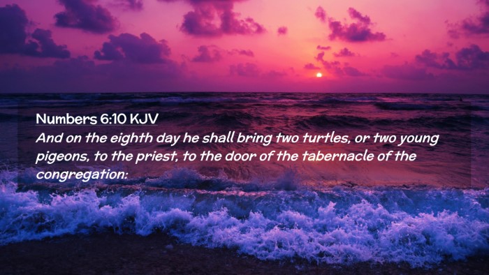 Picture 02 - Numbers 6:10 KJV Desktop Wallpaper - And on the eighth day he shall bring two turtles, - Desktop Bible Verse Wallpaper