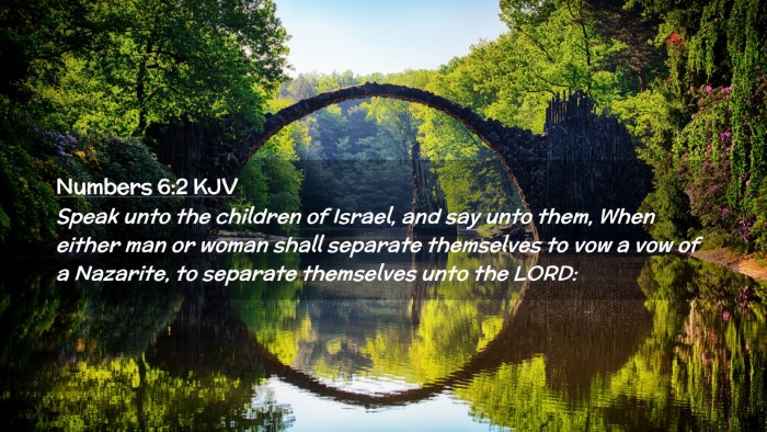 Picture 02 - Numbers 6:2 KJV Desktop Wallpaper - Speak unto the children of Israel, and say unto - Desktop Bible Verse Wallpaper
