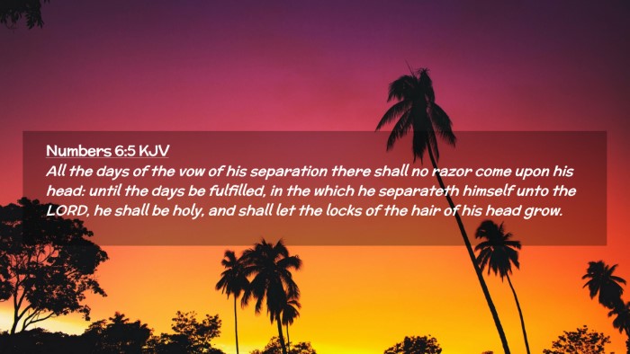Picture 02 - Numbers 6:5 KJV Desktop Wallpaper - All the days of the vow of his separation there - Desktop Bible Verse Wallpaper