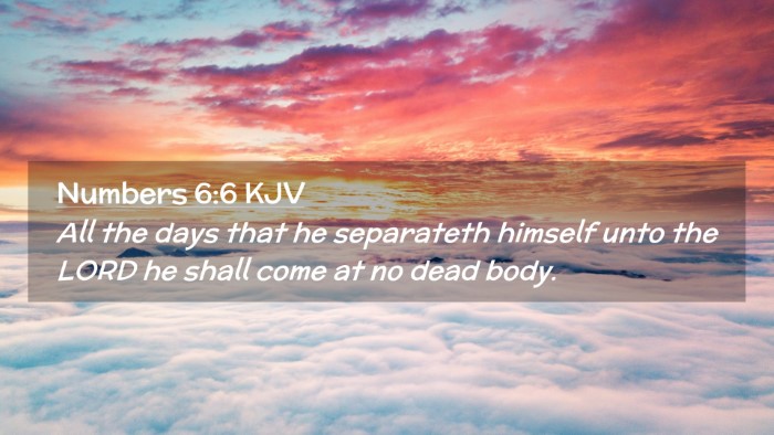 Picture 02 - Numbers 6:6 KJV Desktop Wallpaper - All the days that he separateth himself unto the - Desktop Bible Verse Wallpaper