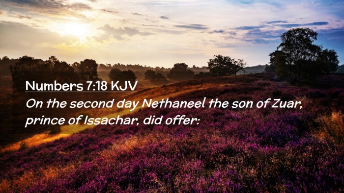 Picture 02 - Numbers 7:18 KJV Desktop Wallpaper - On the second day Nethaneel the son of Zuar, - Desktop Bible Verse Wallpaper