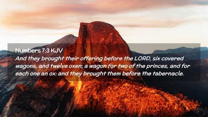 Picture 02 - Numbers 7:3 KJV Desktop Wallpaper - And they brought their offering before the LORD, - Desktop Bible Verse Wallpaper