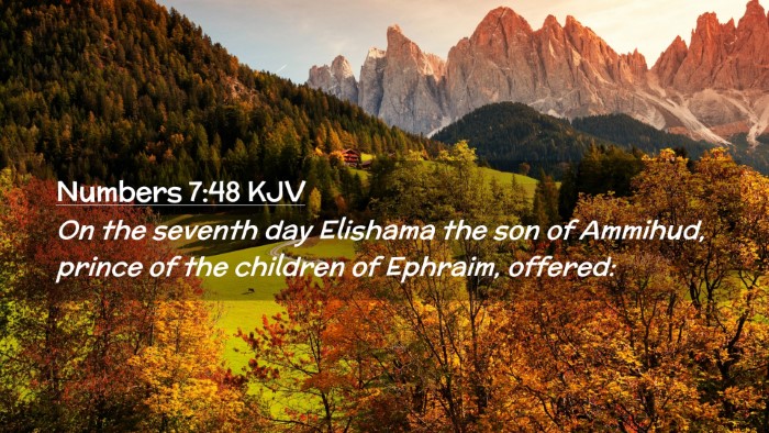 Picture 02 - Numbers 7:48 KJV Desktop Wallpaper - On the seventh day Elishama the son of Ammihud, - Desktop Bible Verse Wallpaper