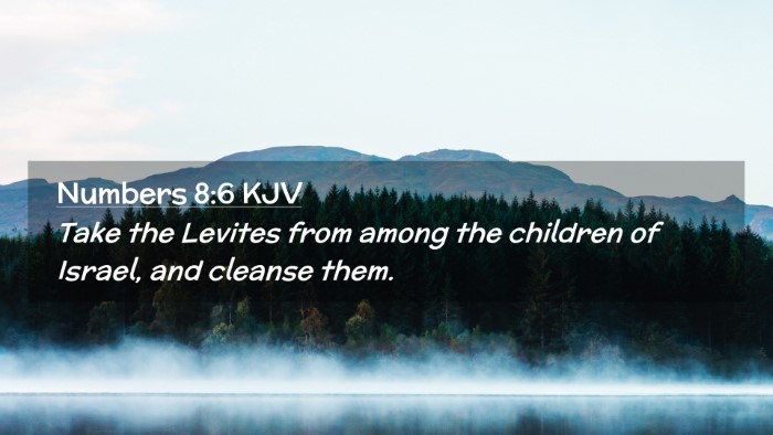 Picture 02 - Numbers 8:6 KJV Desktop Wallpaper - Take the Levites from among the children of - Desktop Bible Verse Wallpaper